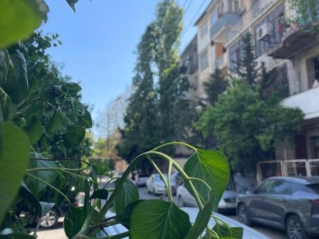 3 otaqlı köhnə tikili - Elmlər Akademiyası m. - 95 m²