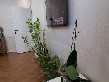 2-комнатная квартира, 68 м², Masazır: 105 000 ₼ 3