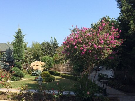 6 otaqlı həyət evi, 250 m², Novxanı: 385 000 ₼ 5