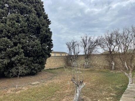 Elan №6346961 - Sumqayıt, Sumqayıt, 5 sot