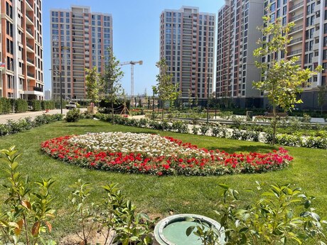 Elan №6347871 - Bakı, Yeni Yasamal q., 3 otaqlı, 73 m², 10/16 mərtəbə