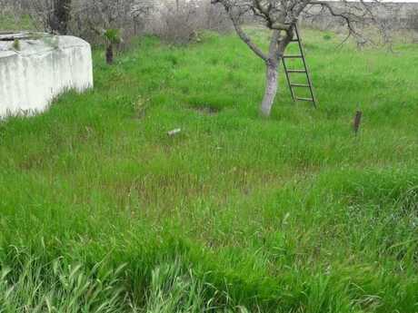 Elan №6348762 - Bakı, Maştağa q., 23 sot