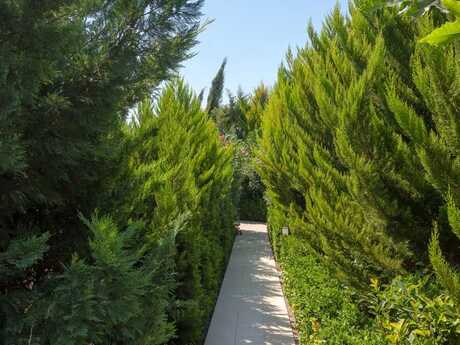 4 otaqlı həyət evi, 245 m², Bilgəh: 890 000 ₼ 3