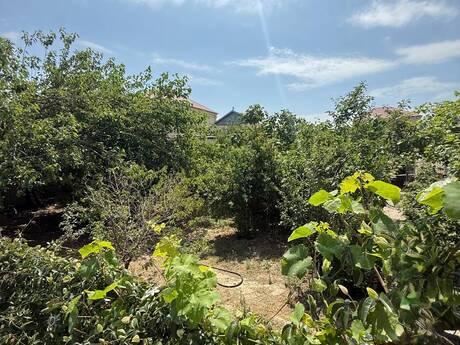 7 otaqlı həyət evi, 200 m², Biləcəri: 285 000 ₼ 4