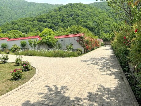 5 otaqlı həyət evi/bağ evi - Qəbələ - 460 m²
