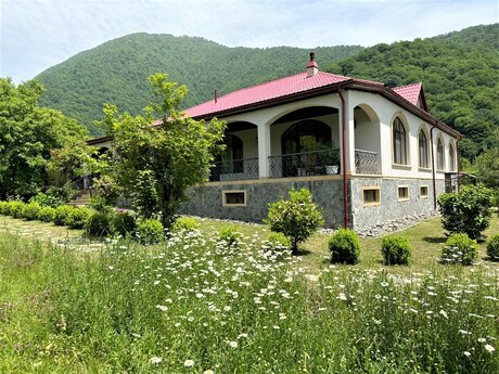 5 otaqlı həyət evi/bağ evi - Qəbələ - 460 m²