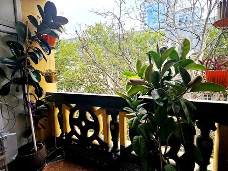 3 otaqlı mənzil, 86 m², Nəsimi: 350 000 ₼ 5