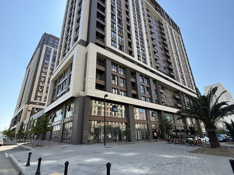 3 Şah İsmayıl Xətai