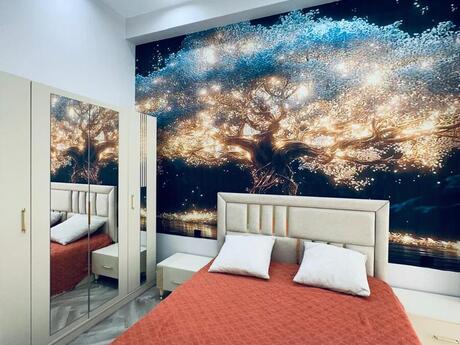 Kirayə 2 otaqlı mənzil, 70 m², Əhmədli: 60 ₼/ay 4