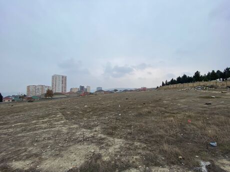 Участок - Хырдалан - 165 сот