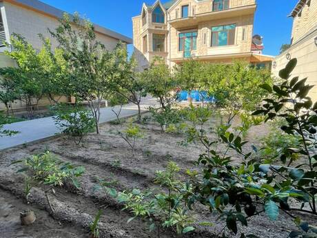 6 otaqlı həyət evi/bağ evi - Bakıxanov q. - 415 m²