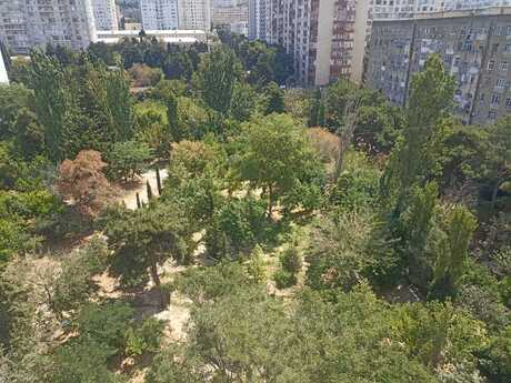 3 otaqlı mənzil, 110 m², Həzi Aslanov: 255 000 ₼ 4