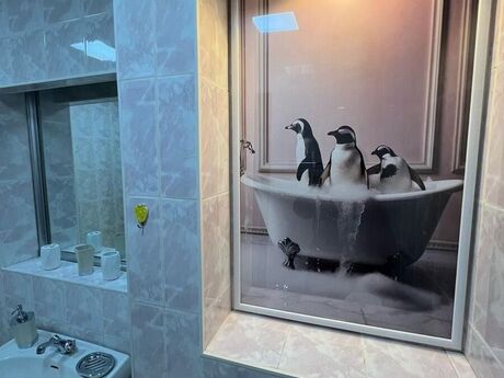 Kirayə 2 otaqlı mənzil, 100 m², 28 May: 1 200 ₼/ay 5