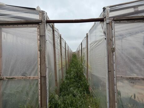 4 otaqlı həyət evi, 190 m², Sabunçu: 245 000 ₼ 4