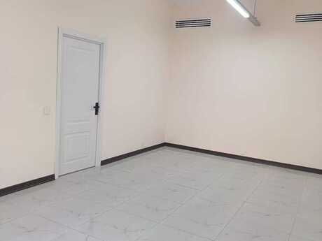 1-комн. офис - м. Низами - 49 м²