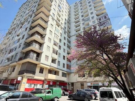 Объявление №6357269 - Баку, м. Иншаатчылар, 2-комн., 75 м², 13/17 этаж