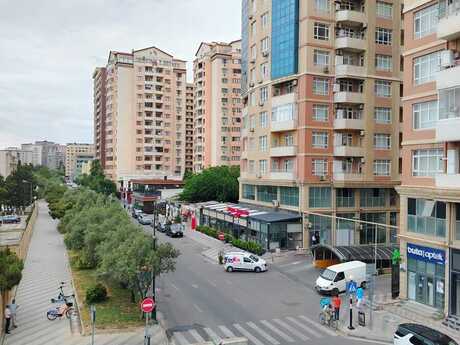 1 Şah İsmayıl Xətai