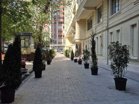 Объявление №6358366 - Баку, м. Нариман Нариманов, 2-комн., 96 м², 8/17 этаж