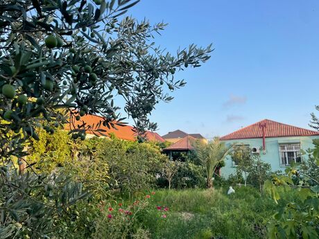 7 otaqlı həyət evi, 160 m², Kürdəxanı: 220 000 ₼ 2