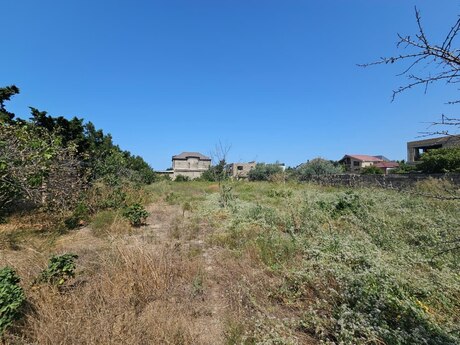 Объявление №6359486 - Баку, пос. Sea Breeze, 31 сот