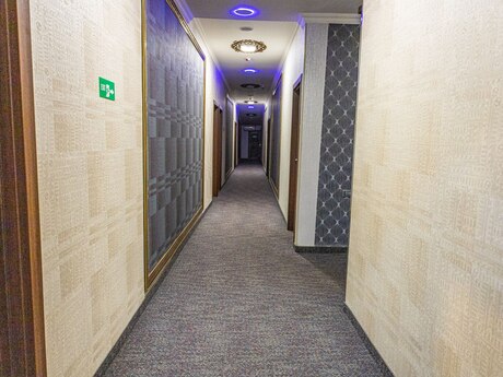 Объявление №6359509 - Баку, пос. Баилова, 1000 м²