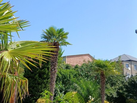 6 otaqlı həyət evi, 400 m², Xətai: 920 000 ₼ 3