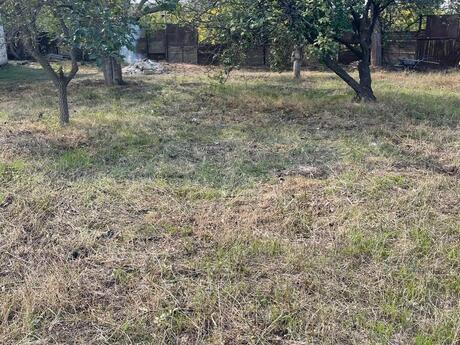3 otaqlı həyət evi, 100 m², Novxanı: 85 000 ₼ 4