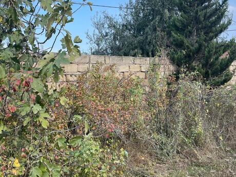 3 otaqlı həyət evi, 100 m², Novxanı: 85 000 ₼ 3
