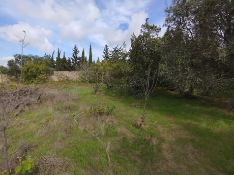 3 otaqlı həyət evi, 100 m², Sea Breeze: 240 000 ₼ 2