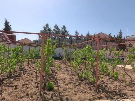 5 otaqlı həyət evi, 200 m², Sea Breeze: 340 000 ₼ 4