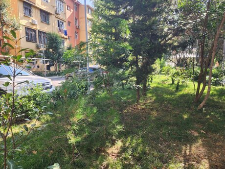 3 otaqlı mənzil, 70 m², Neftçilər: 182 000 ₼ 3