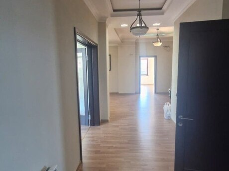 4-комн. офис - м. Низами - 250 м²