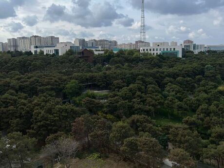 3-комн. новостройка - м. Гянджлик - 190 м²