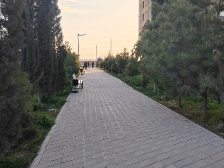 Объявление №6366701 - Баку, пос. Мамедли, 2-комн., 55 м², 6/11 этаж