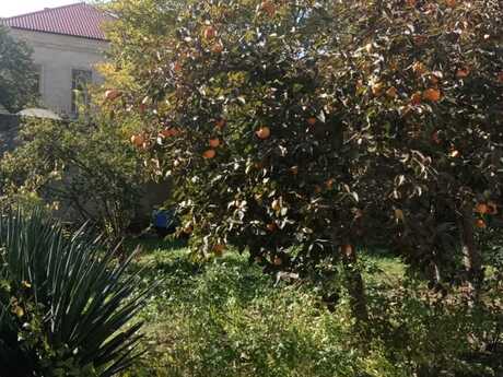 Elan №6366863 - Bakı, Həzi Aslanov m., 10.5 sot