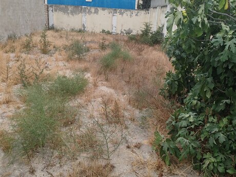 Elan №6367755 - Bakı, Hövsan q., 2.5 sot