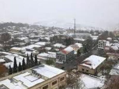 Torpaq - Şamaxı - 60 sot