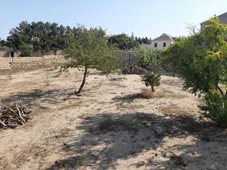 Elan №6368302 - Bakı, Novxanı q., 10 sot