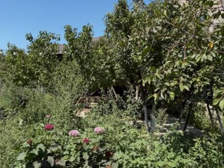5-комн. дом/дача - пос. Пиршаги - 300 м²