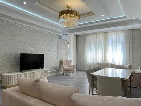 Elan №6369345 - Bakı, Nərimanov r., 4 otaqlı, 225 m², 9/21 mərtəbə