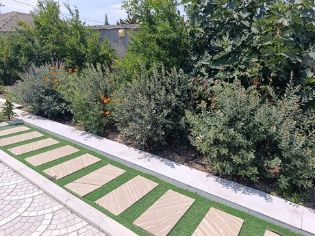 3 otaqlı həyət evi, 100 m², Görədil: 165 000 ₼ 5