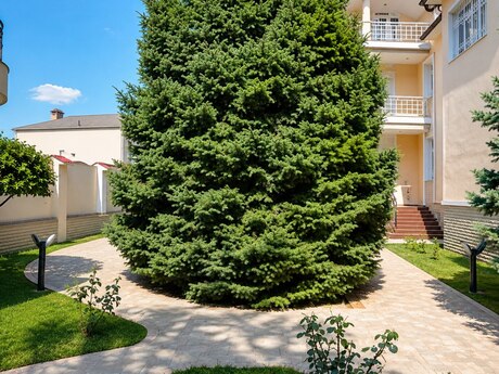 10 otaqlı həyət evi, 544 m², Nərimanov: 2 500 000 ₼ 5