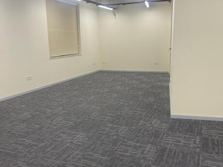 4-комн. офис - м. Низами - 200 м²