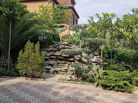 7 otaqlı həyət evi/bağ evi - Nəsimi m. - 740 m²