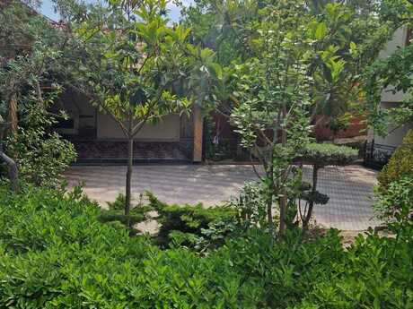 7 otaqlı həyət evi/bağ evi - Nəsimi m. - 740 m²