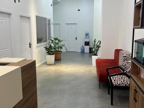 Объявление №6372936 - Баку, м. Мемар Аджеми, 265 м²