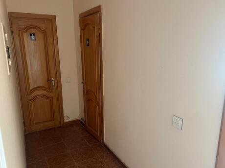 5-комн. офис - м. Низами - 160 м²
