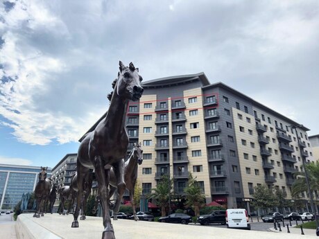 Elan №6370834 - Bakı, Ağ şəhər q., 5 otaqlı, 245 m², 8/8 mərtəbə