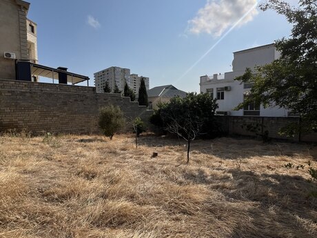 7 otaqlı həyət evi/bağ evi - Badamdar q. - 500 m²