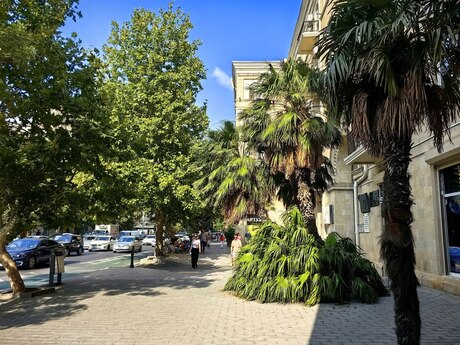 3 otaqlı mənzil, 80 m², 28 May: 369 900 ₼ 3